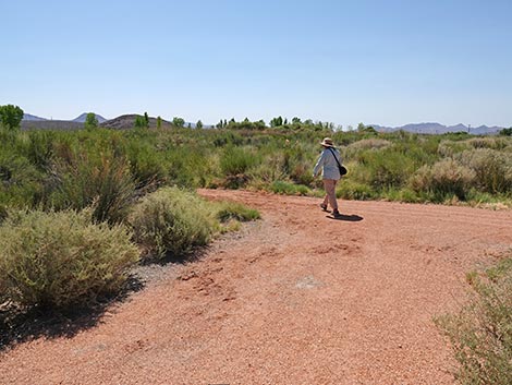 Black Canyon Trail