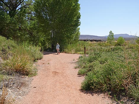 Black Canyon Trail