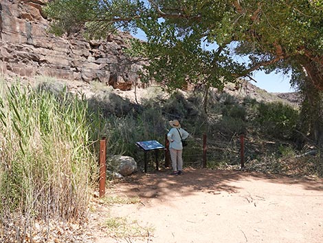 Black Canyon Trail
