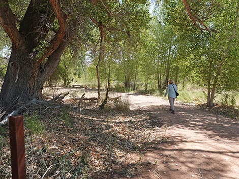 Black Canyon Trail