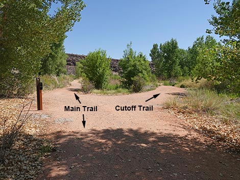 Black Canyon Trail