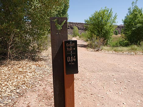 Black Canyon Trail
