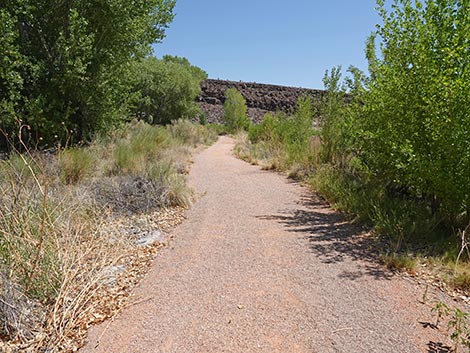Black Canyon Trail