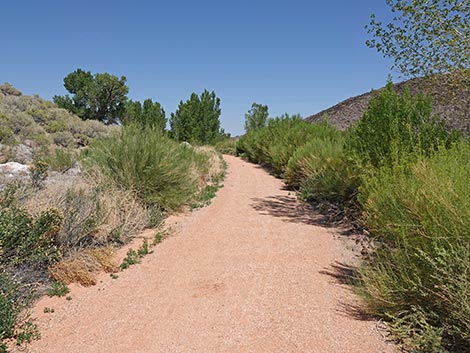 Black Canyon Trail