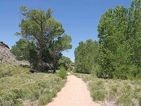 Black Canyon Trail