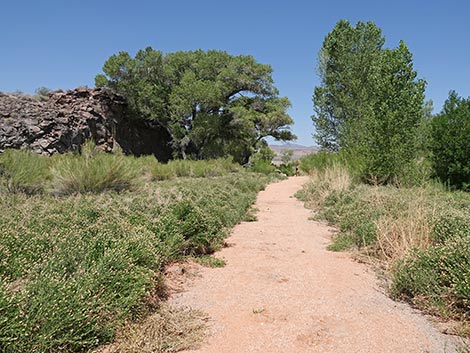 Black Canyon Trail