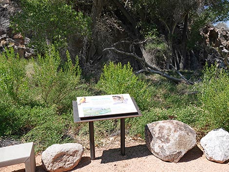 Black Canyon Trail