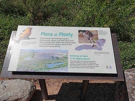 Black Canyon Trail