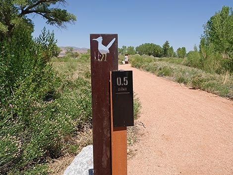 Black Canyon Trail