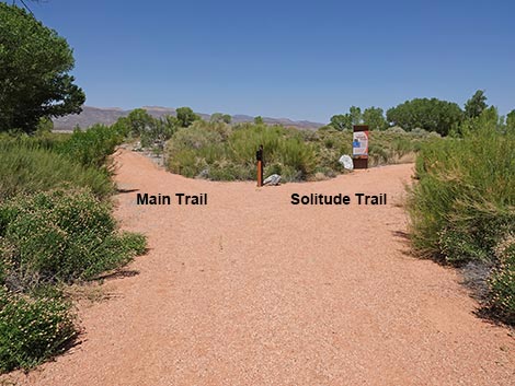 Black Canyon Trail