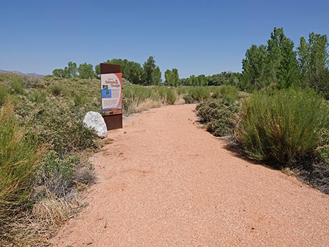 Black Canyon Trail