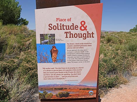 Black Canyon Trail