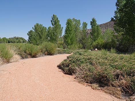 Black Canyon Trail