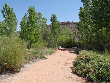 Black Canyon Trail