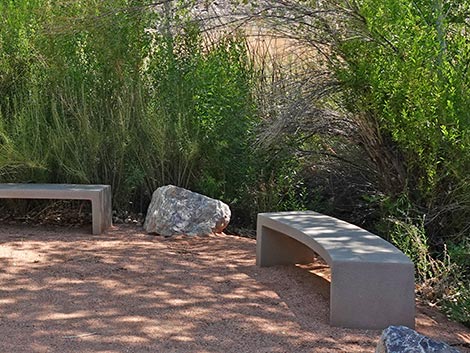 Black Canyon Trail