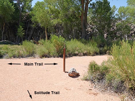 Black Canyon Trail