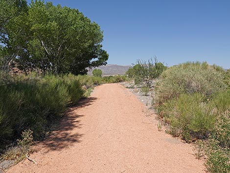 Black Canyon Trail