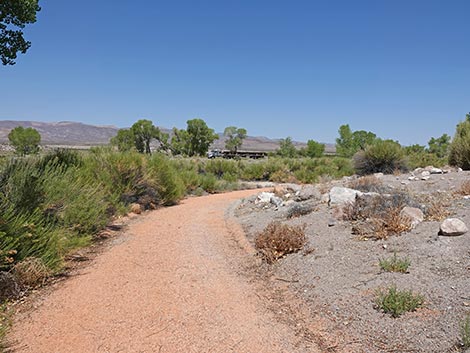 Black Canyon Trail