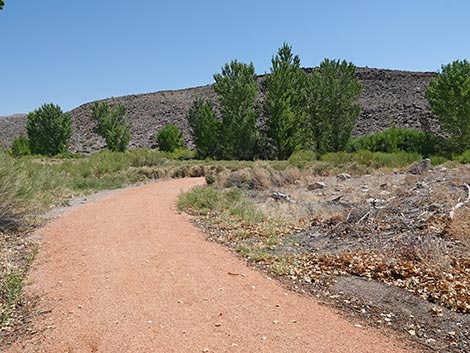 Black Canyon Trail