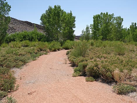 Black Canyon Trail