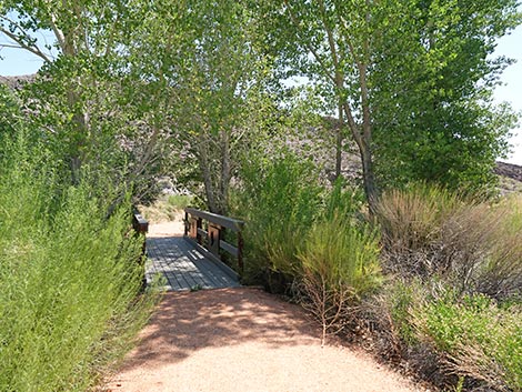 Black Canyon Trail