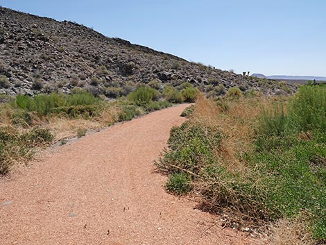Black Canyon Trail