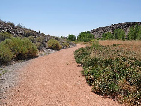 Black Canyon Trail