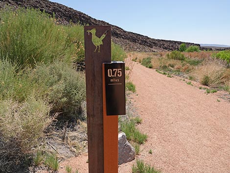 Black Canyon Trail