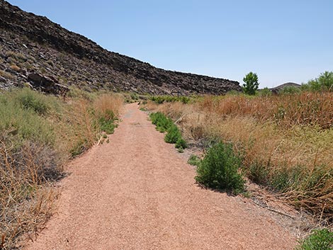 Black Canyon Trail