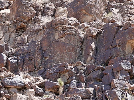 Black Canyon Trail