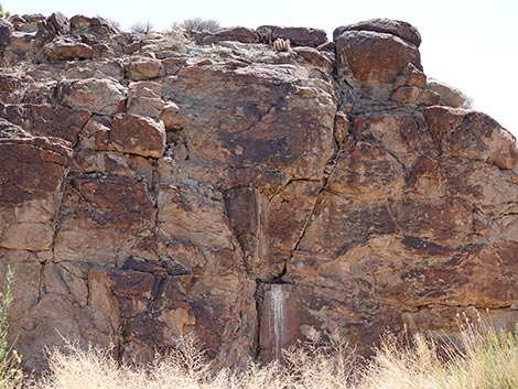 Black Canyon Trail