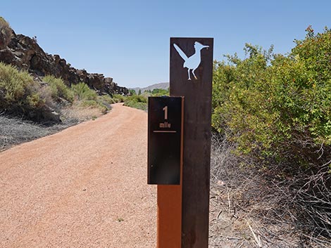 Black Canyon Trail