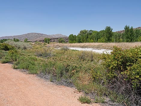 Black Canyon Trail