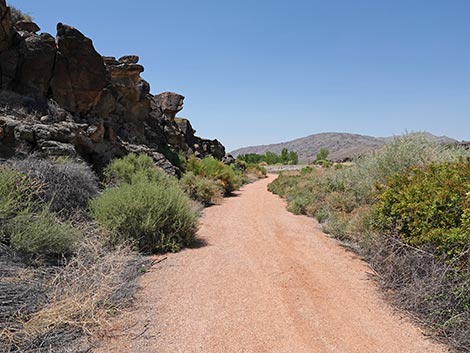 Black Canyon Trail