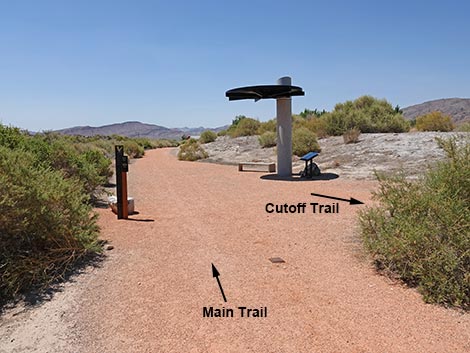 Black Canyon Trail