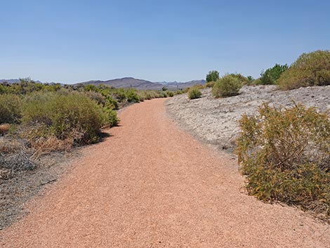 Black Canyon Trail