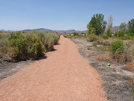 Black Canyon Trail