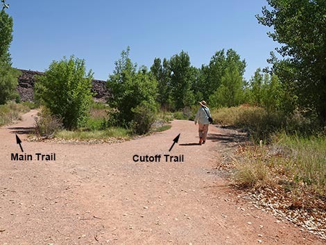 Black Canyon Trail