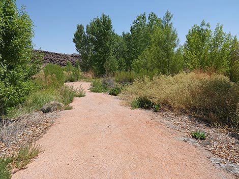 Black Canyon Trail