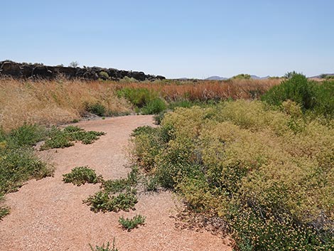 Black Canyon Trail