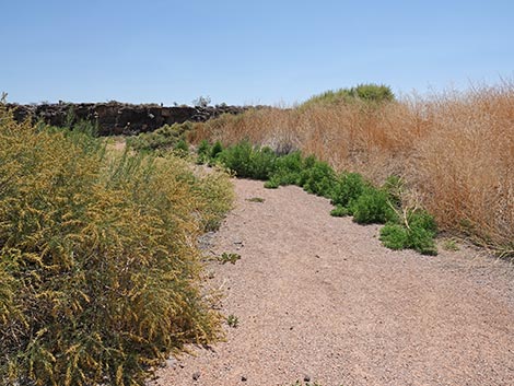Black Canyon Trail