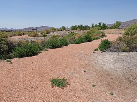 Black Canyon Trail