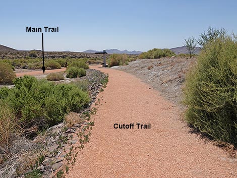 Black Canyon Trail