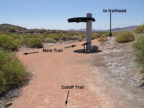 Black Canyon Trail