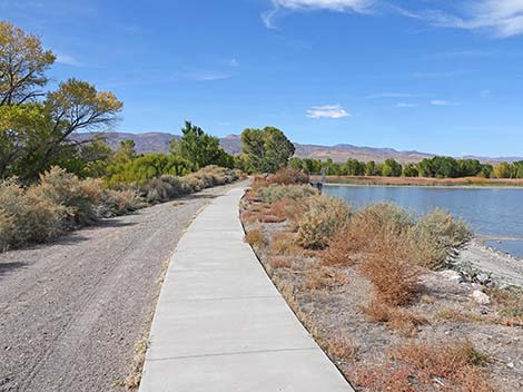 Pahranagat NWR