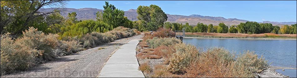 Birding Around Pahranagat National Wildlife Refuge