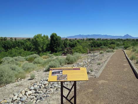 Warm Springs Natural Area