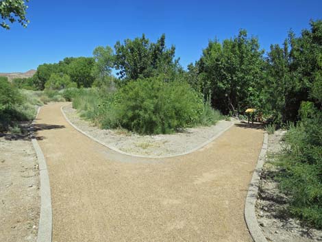 Warm Springs Natural Area