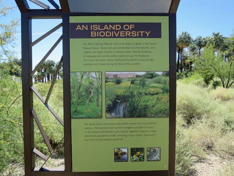 Warm Springs Natural Area