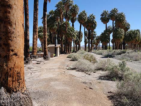 Warm Springs Natural Area